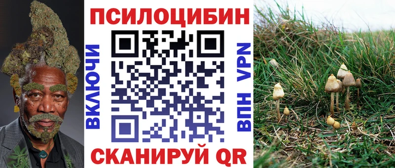 Галлюциногенные грибы Magic Shrooms  Астрахань 